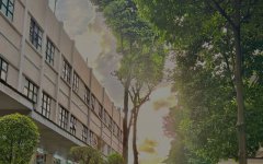 柬埔寨開工廠，難度究竟藏在哪?