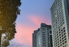 2025泰國公司注冊需要什么材料?全清單匯總