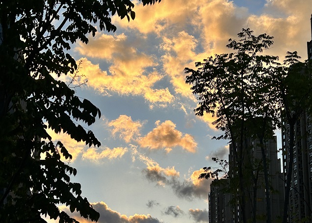 韓國公司年審逾期應(yīng)對策略與風(fēng)險(xiǎn)規(guī)避指南