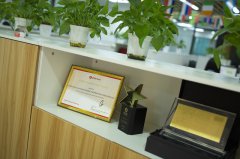 解析如何選擇適合的香港公司類(lèi)型